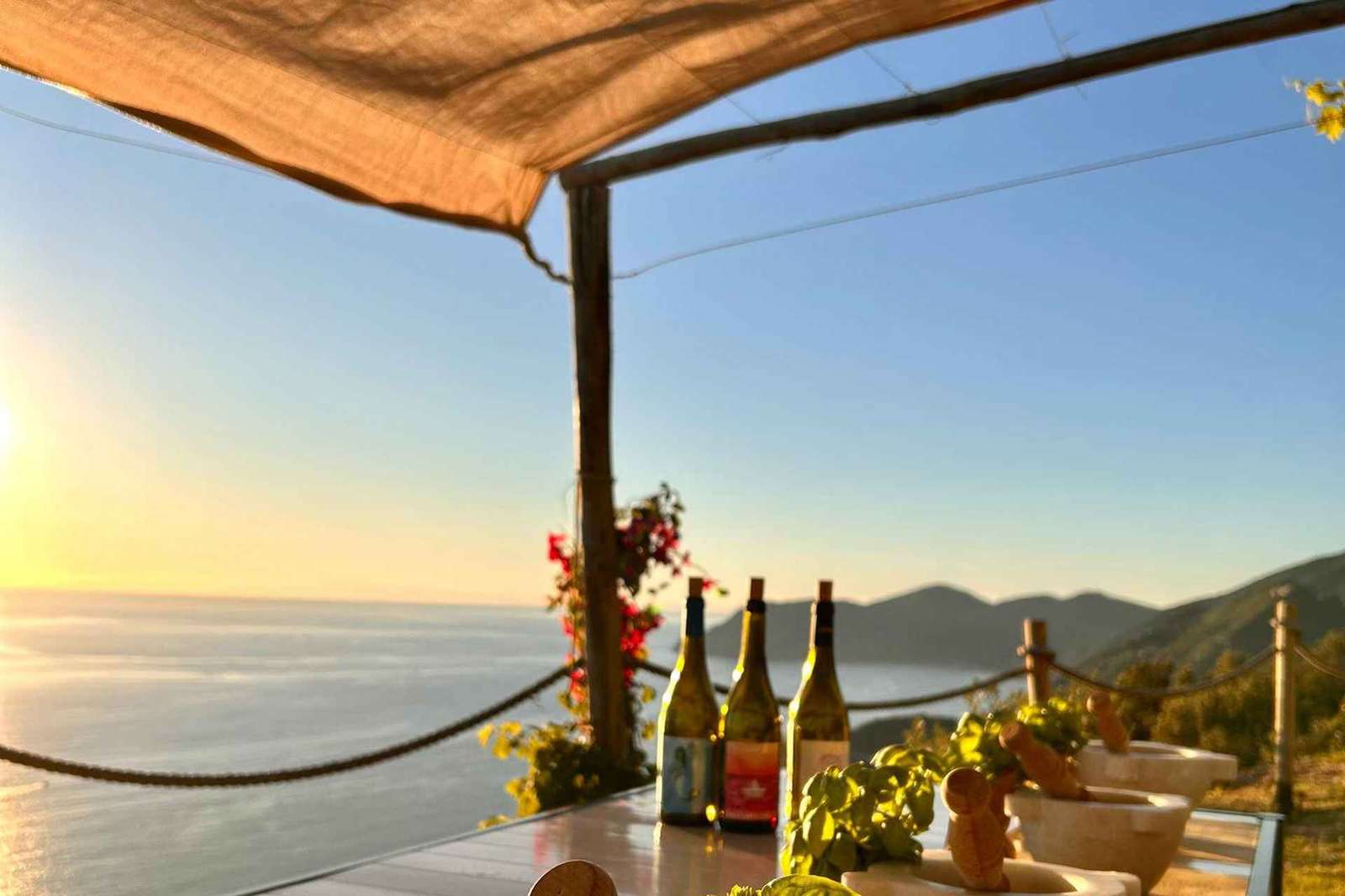 Volastra : Dégustation de vin BarCa dans les Cinque Terre et cours de pesto