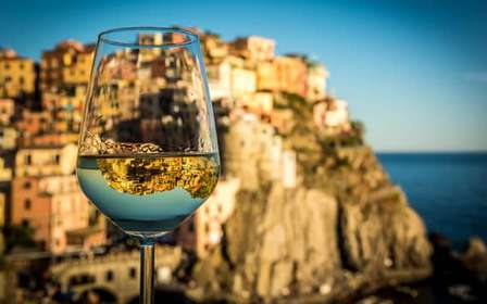 Cinque Terre: Wine Tasting and Walking Tour
