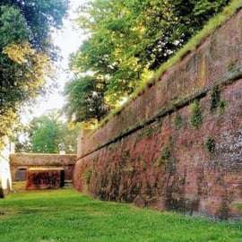 Depuis La Spezia : Pise, Lucques et déjeuner dans un vignoble toscan