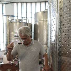 La Spezia: Degustación de 4 Vinos ORO