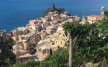 Vernazza Cinque Terre: Wine tasting and scenic vineyard tour