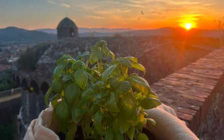 Buio Pesto Experience – Festung von Sarzanello