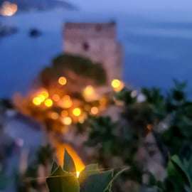 Cinque Terre: Private tour with professional photographer