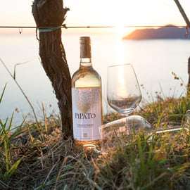 La Spezia: Degustación de 4 Vinos ORO