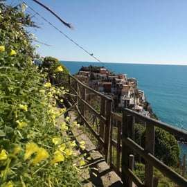 Tour de vinhos em Cinque Terre e degustação com o sommelier
