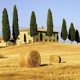Excursión en tierra desde La Spezia: Pisa, Lucca, almuerzo y degustación de bodegas