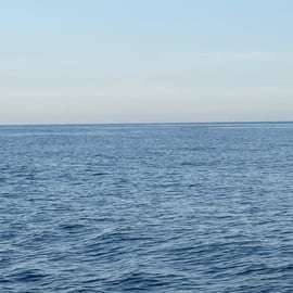 Cinque Terre: Boat Tour with Snorkeling
