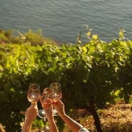 Cinque Terre: Panoramic Walk with Wine Tasting and Light Lunch