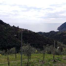 Cinque Terre: exclusive e-bike tour from Monterosso