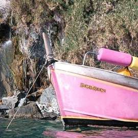 Cinque Terre: Pink Boat Tour with Lady Captain