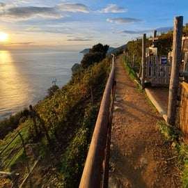 Randonnée avec Gaia de Corniglia à Manarola, accompagnée d'une dégustation dans le vignoble.