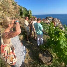 Cinque Terre-Manarola: Wine Experience and Tour in Vineyard