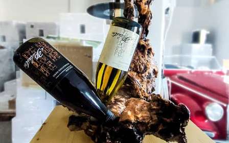Tasting in the Colli di Luni