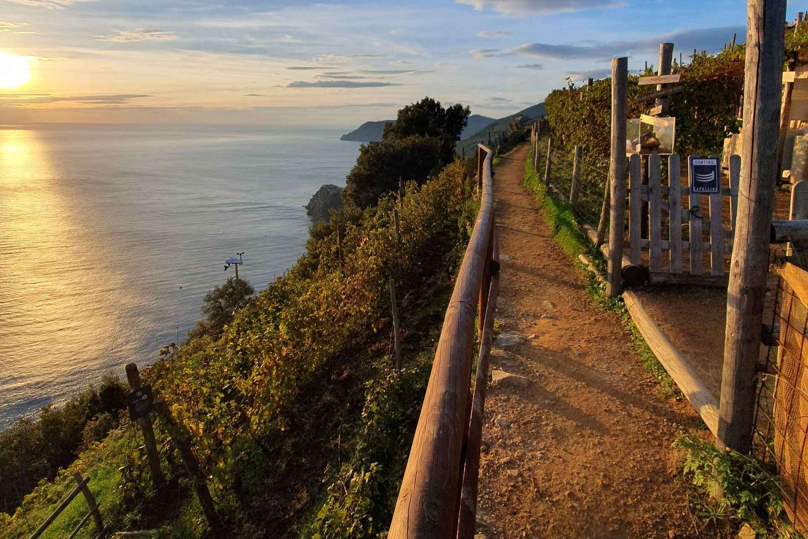 Randonnée avec Gaia de Corniglia à Manarola, accompagnée d'une dégustation dans le vignoble.