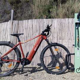 Cinque Terre: exclusive e-bike tour from Monterosso