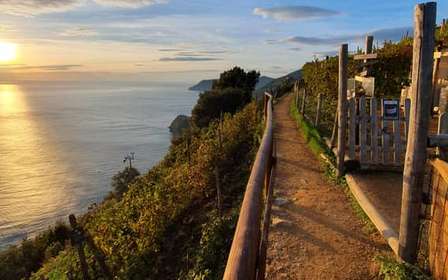 Join Gaia on a hike from Corniglia to Manarola, with a wine tasting in the vineyard