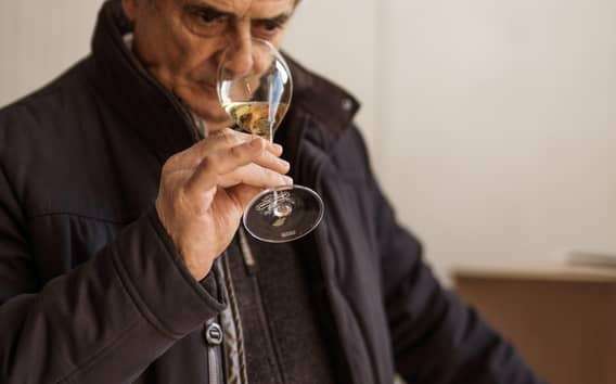 La Spezia: 4 Wines Degustation