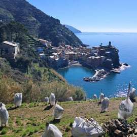 Lemon tour with limoncino tasting in Vernazza (Cinque Terre)