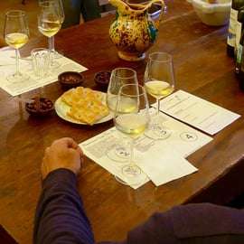 Tour de vinhos em Cinque Terre e degustação com o sommelier