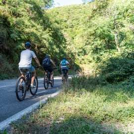 Monterosso al Mare: Cinque Terre National Park E-Bike Tour
