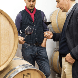 Tour della cantina e degustazione nella Toscana settentrionale