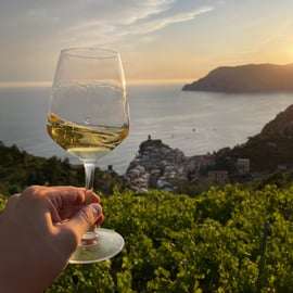 Vernazza: Panoramatická túra vinicemi s ochutnávkou vína