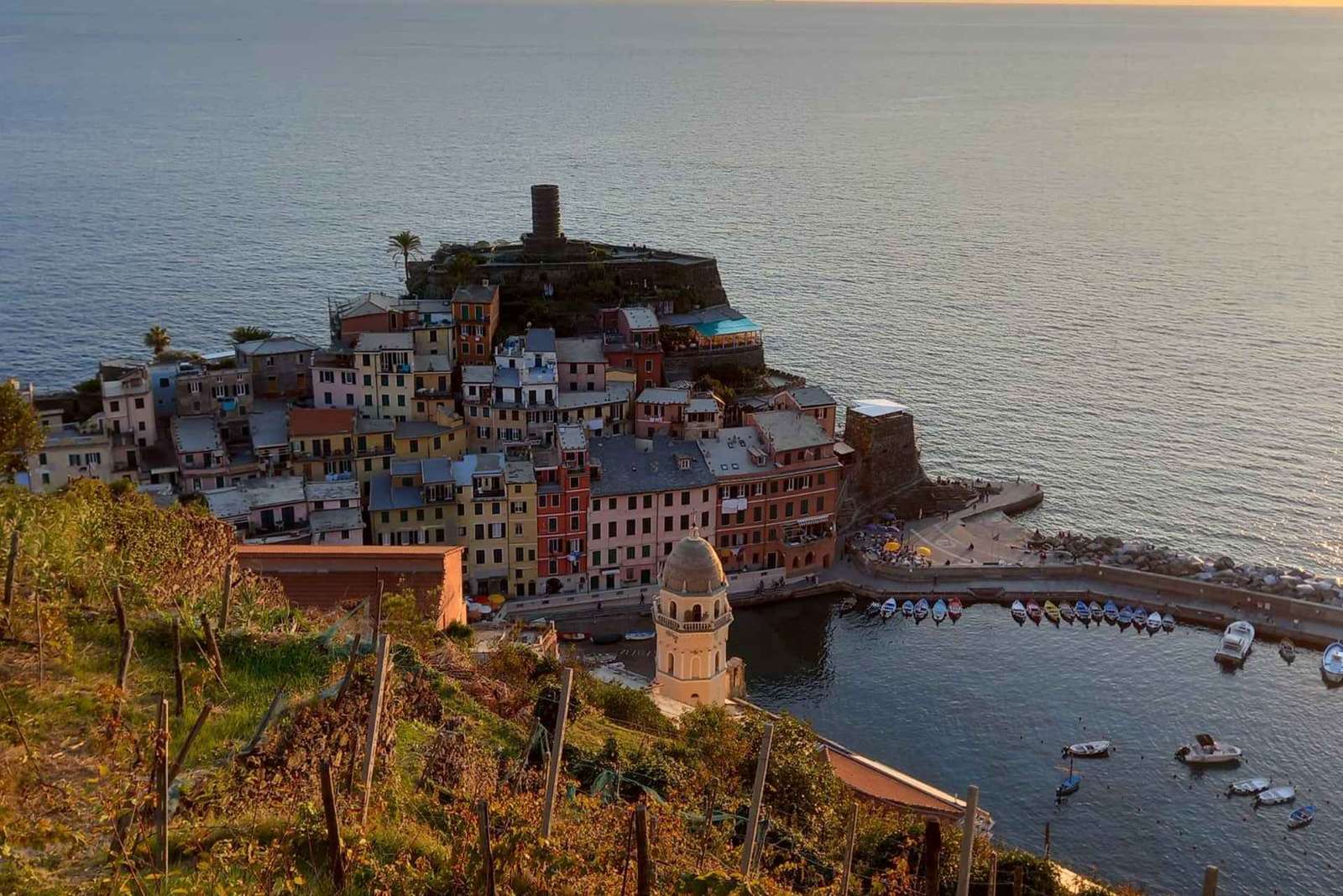 Vernazza (5 Terre): olive grove tour and oil and wine tasting