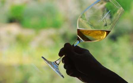 Manarola: Cinque Terre Wine Tasting
