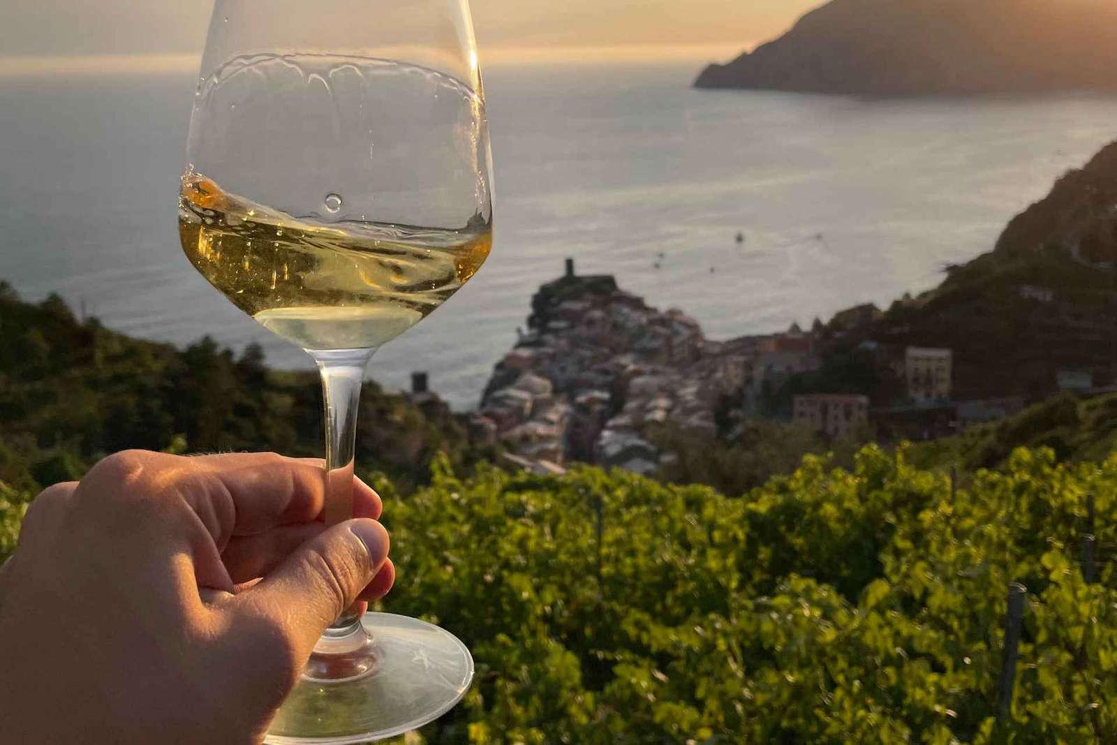 Vernazza: Panoramatická túra vinicemi s ochutnávkou vína