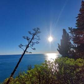Excursão panorâmica a pé pelas vilas de Cinque Terre