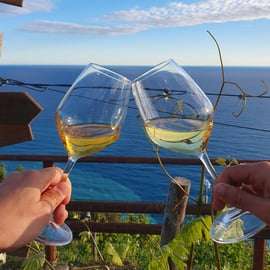 Randonnée avec Gaia de Corniglia à Manarola, accompagnée d'une dégustation dans le vignoble.