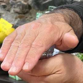 Cinque Terre: degustación de aceite de oliva con bocaditos locales