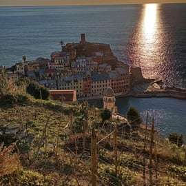 Vernazza (5 Terre): olive grove tour and oil and wine tasting