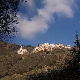 Lievàntu Wine Experience: Tour e degustazione nella Valle di Levanto