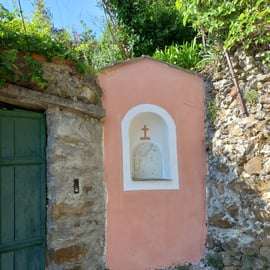 Vernazza (5 Terre): olive grove tour and oil and wine tasting