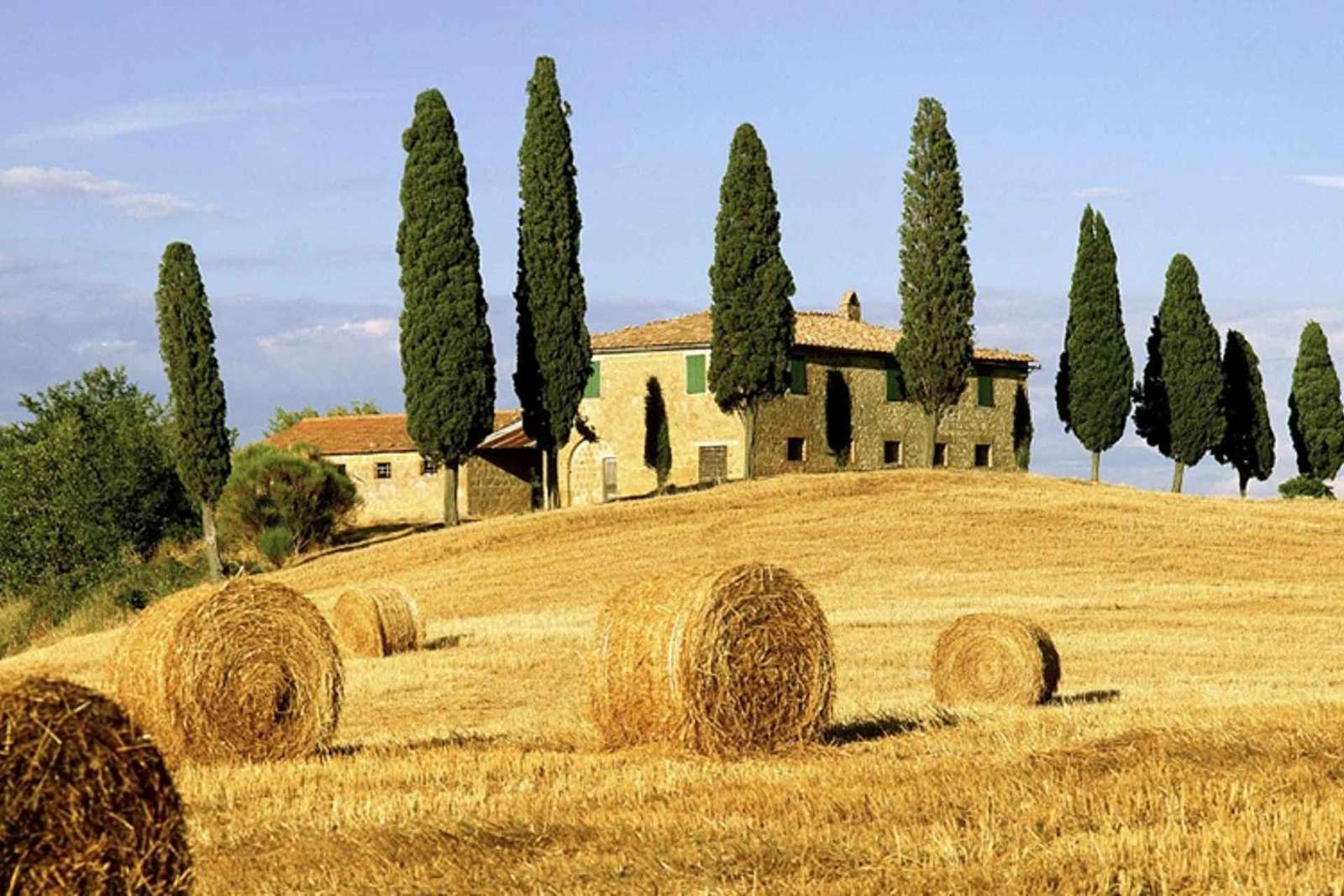 Excursión en tierra desde La Spezia: Pisa, Lucca, almuerzo y degustación de bodegas