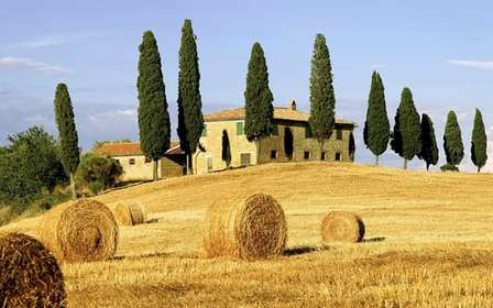 Shore Trip from La Spezia: Pisa,Lucca,lunch & tasting Winery
