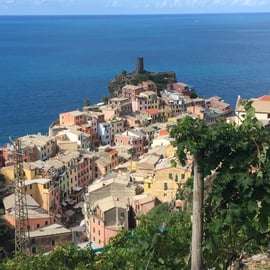 Vernazza Cinque Terre: Wine tasting and scenic vineyard tour