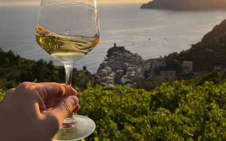 Vernazza: Panoramic Vineyard Trekking Tour w/ Wine Tasting