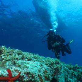 De Lerici: aulas de mergulho e mergulho em Portovenere