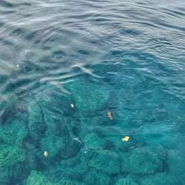 Riomaggiore: Denní plavba Cinque Terre s šnorchlováním