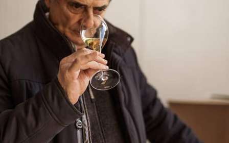 La Spezia: 4 Wines Degustation