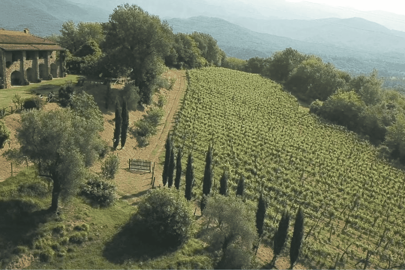 Tour della cantina e degustazione nella Toscana settentrionale