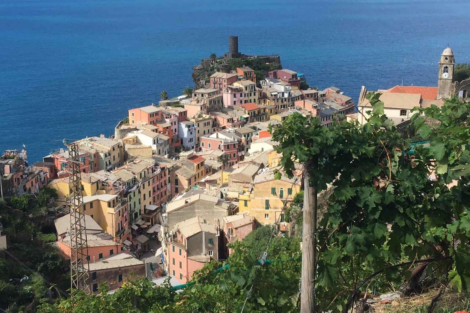 Vernazza Cinque Terre: Wine tasting and scenic vineyard tour
