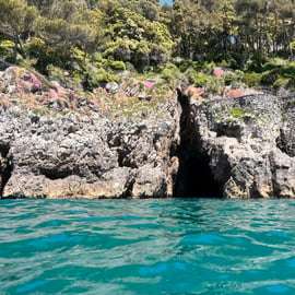Vacanza Golfo dei Poeti: tour in barca e degustazione