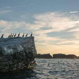 3 Islands Tour: Palmaria, Tino and Tinetto from Portovenere