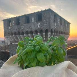 Buio Pesto Experience – Festung von Sarzanello