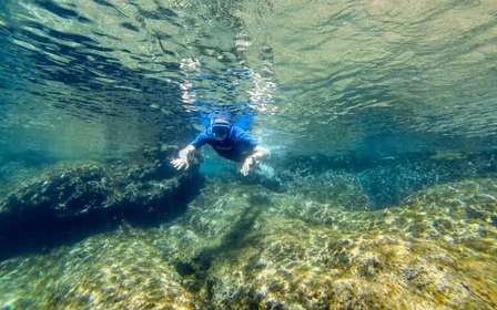 San Terenzo: Portovenere Natural Park Snorkeling Trip