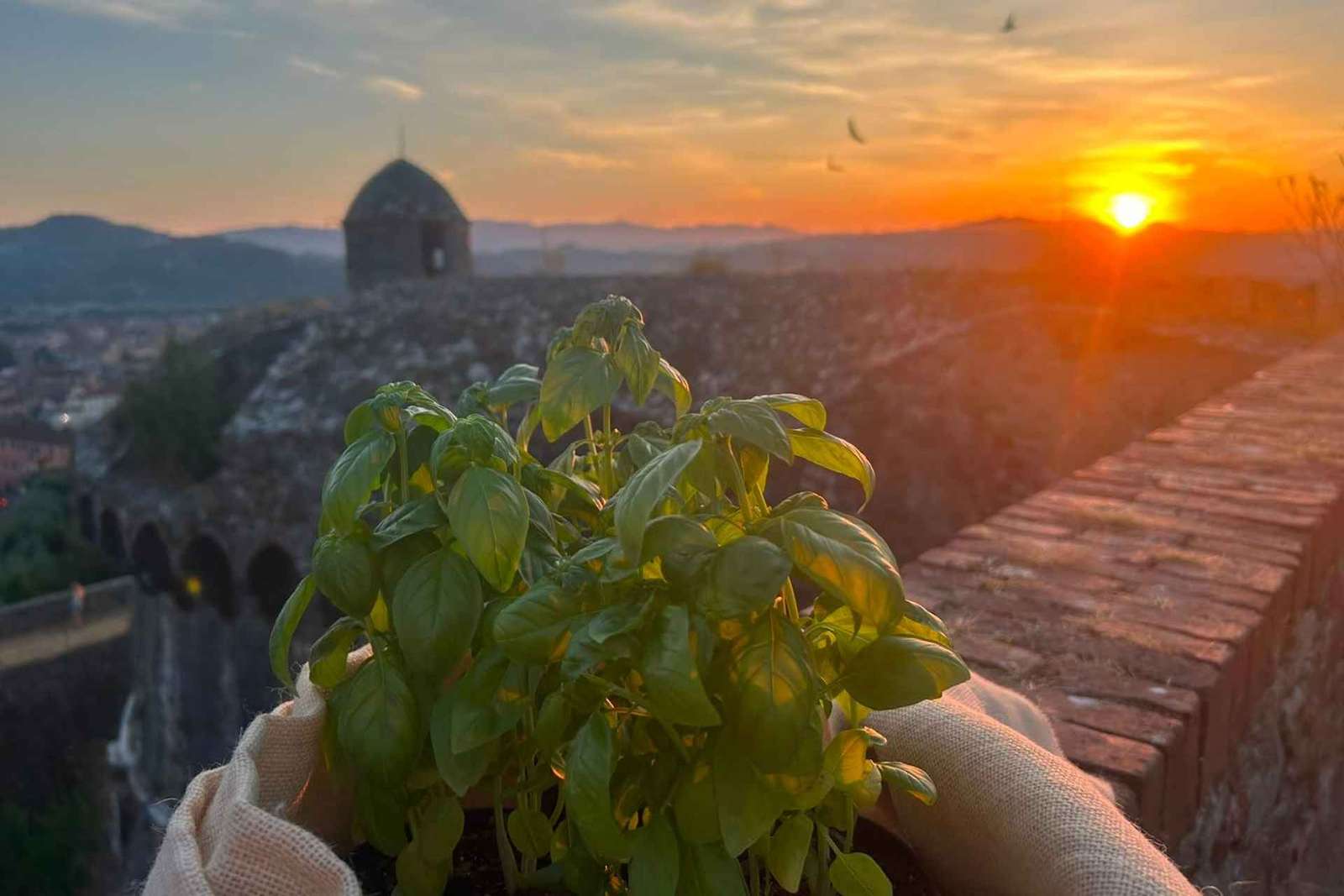 Buio Pesto Experience – Festung von Sarzanello