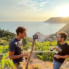 Vernazza: Panoramatická túra vinicemi s ochutnávkou vína